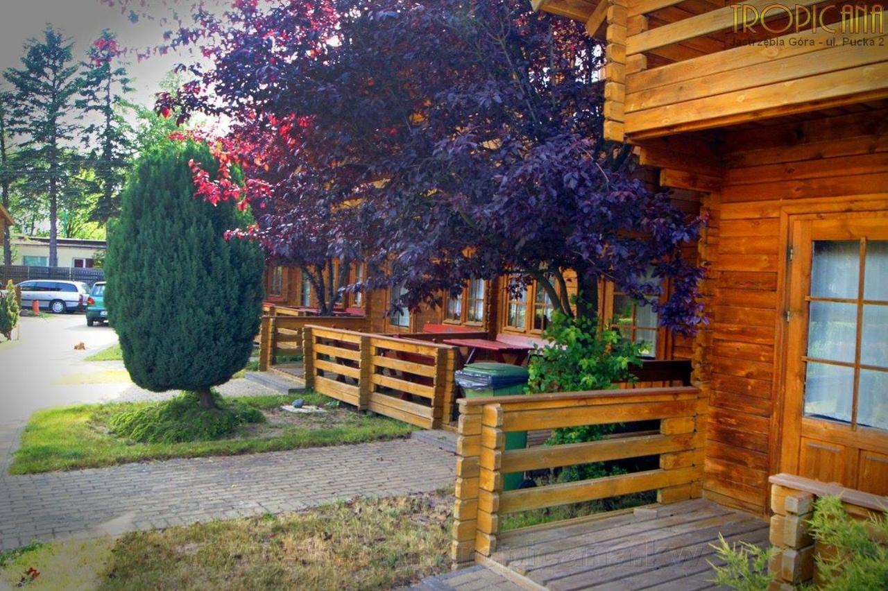 Tropicana Ϫϫ Jastrzebia Gora Exterior photo